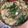 ルミプリン's cooksnap of when they made 家庭で簡単に本場の味！博多風 醤油もつ鍋.