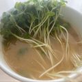 にゃつめ〜's cooksnap of when they made 超簡単！かいわれイン☆味噌汁.