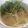 にゃつめ〜's cooksnap of when they made 超簡単！かいわれイン☆味噌汁.