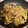 栗んち's cooksnap of when they made やみつき♡豚こまと蓮根のコチュマヨ炒め.