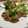 Cancancandy723's cooksnap of when they made ♢厚切り豚ロース肉の照り焼き♢.