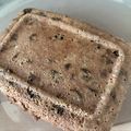ろんこいぬ's cooksnap of when they made オートミール100％蒸しパン.