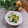 クックHG9V8Y☆'s cooksnap of when they made ☆簡単キュウリの浅漬け☆.