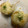 さんちゃん（╹◡╹）'s cooksnap of when they made お弁当に！『ちくわのシューマイ巻き』.