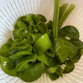 もりった's cooksnap of when they made 生めかぶの食べ方・簡単下処理・保存方法.