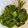 もりった's cooksnap of when they made 生めかぶの食べ方・簡単下処理・保存方法.