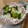 Okecchan's cooksnap of when they made 簡単♪野菜で一品♪青梗菜のニンニク炒め.
