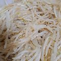 nekoko1's cooksnap of when they made レンジで簡単！もやしのナムル.