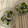 yesmama's cooksnap of when they made わかめと三つ葉の和風サラダ.