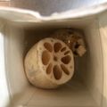 こつゆ514's cooksnap of when they made 生姜・蓮根の持たせ方♫.