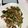 プロフェッショナル24's cooksnap of when they made ナスと豚肉のスタミナカレー炒め.