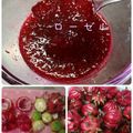 ひっこ's cooksnap of when they made 簡単！レンジでローゼルジャム♪.
