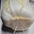 フリージア♬'s cooksnap of when they made 白菜の保存に٩(*´ ꒳ `*)۶.