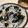 papikun's cooksnap of when they made あかん飯　しらす丼.