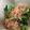 クックHDP0M2☆'s cooksnap of when they made 白だしで上品♡簡単！小松菜のお浸し.