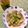 ふたごゆき's cooksnap of when they made 姜葱醤で生姜と揚げ茄子の味噌汁♡.