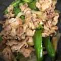クックZUHPOV☆'s cooksnap of when they made ご飯がススム♪牛肉ピーマン玉葱の甘辛炒め.