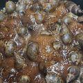 クックXCHME4☆'s cooksnap of when they made 富山の郷土料理　バイ貝の煮付け（甘辛煮）.