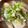 かんなゆ's cooksnap of when they made ☆豚汁☆.
