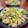 Superlittleboo's cooksnap of when they made 春キャベツとささみの味噌バター炒め.