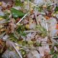 のんミ☆'s cooksnap of when they made フライパンでペッパーランチ風簡単まぜご飯.