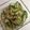 あいしょう's cooksnap of when they made ツナときゅうりの酢の物.