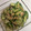 あいしょう's cooksnap of when they made ツナときゅうりの酢の物.