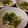 ぐみよー's cooksnap of when they made 簡単♪ゆできゃべつの梅干和えノンオイル～.