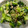 kkmkn's cooksnap of when they made 簡単 人気常備菜 小松菜の漬物 大量消費.