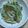 あさひ＊ごちそう研究's cooksnap of when they made ちくわと水菜のからし酢醤油あえ.