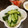 yum＊chim's cooksnap of when they made 簡単！韓国風！きゅうりとわかめのサラダ！.