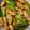 クックP1650X☆'s cooksnap of when they made きょうの大皿？！アスパラでガリバタチキン.