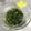 にゃあオクト's cooksnap of when they made ごはんに合う大根の葉っぱ。ふりかけ？.