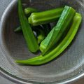 みきんたちゃん's cooksnap of when they made 美しいインゲンの茹で方.