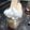 くうこうママ's cooksnap of when they made 簡単！ポリ袋で生クリーム泡立て.