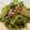 はるはるもも's cooksnap of when they made ターサイで旨炒め.