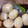 ちーママhw1's cooksnap of when they made 激ウマ！！半熟技あり簡単味付け卵（煮卵）.
