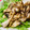 U☆kaoru's cooksnap of when they made 焼き舞茸と水菜の煮びたし.
