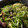 クックAY9F1M☆'s cooksnap of when they made 大量消費！激ウマ茄子の無限中華だれ.