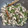 マキマキ913's cooksnap of when they made 豚とたまねぎとピーマンの甘辛炒め.