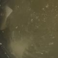 MULA's cooksnap of when they made 餃子の皮と具でリメイク♪ワンタンスープ.