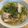 さくらもち♡'s cooksnap of when they made ☆鶏塩うどん☆.