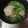 杉山純子's cooksnap of when they made マグロのカマの煮付け.