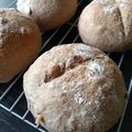 雨の匂い's cooksnap of when they made ✿クランベリーと胡桃の全粒粉パン✿.