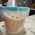 Superlittleboo's cooksnap of when they made いつまでも元気なれんこんの保存方法.