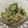 クックしまえなが's cooksnap of when they made きゅうりともやしとツナのナムル.