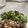 Ruriluru's cooksnap of when they made 簡単のせるだけ胡瓜飾り花サラダ.