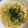 Ｎよんよん's cooksnap of when they made 超簡単✤和風たらこクリームパスタ.