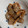 Kill Buss's cooksnap of when they made こんにゃくと舞茸のうま煮.