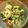 sacching's cooksnap of when they made きゅうりとちくわの梅大葉味噌和え.